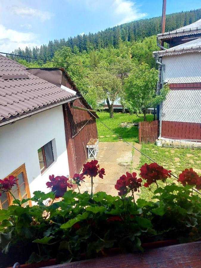 Pensiunea Boca Voronet Zewnętrze zdjęcie